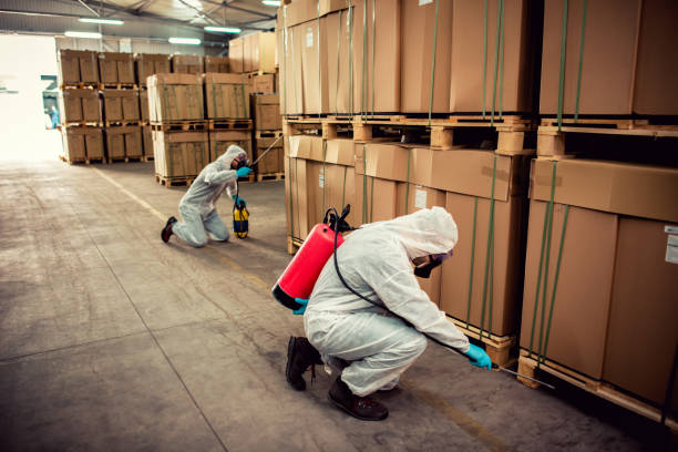 Best Mosquito Control Services  in Ortonville, MI