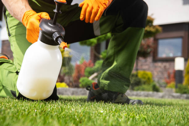 Best Affordable Pest Control Services  in Ortonville, MI