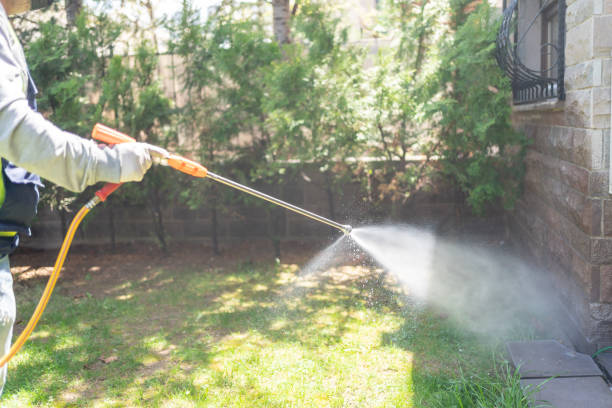 Best Ant Control Services  in Ortonville, MI