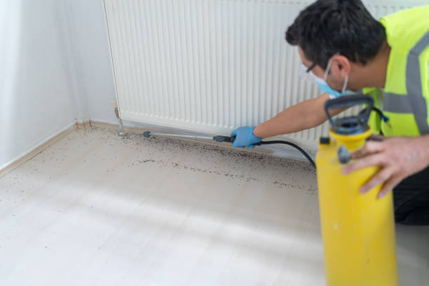 Best Flea Control Services  in Ortonville, MI
